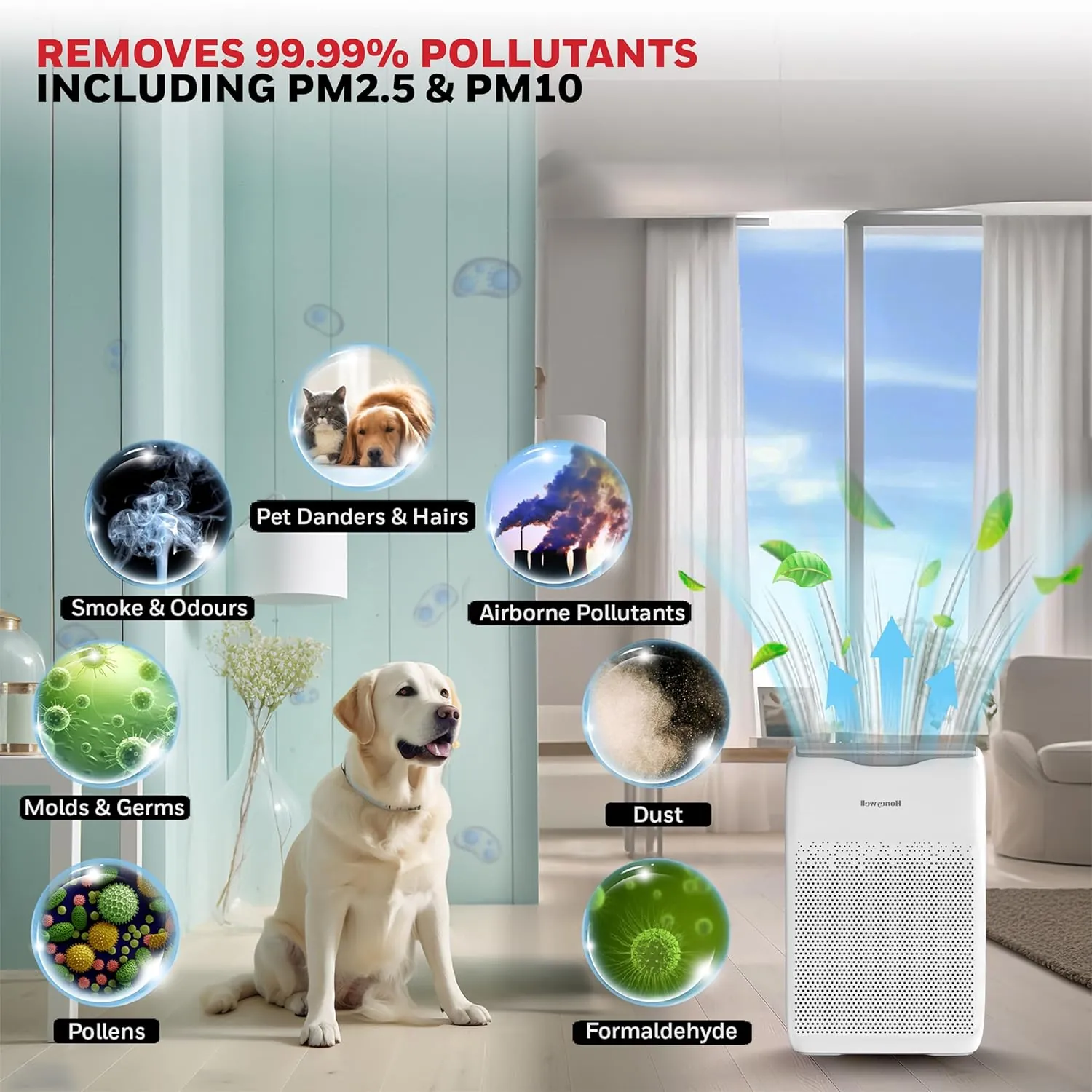 Honeywell Air Touch V2 removes pollens, mold, smoke, pet dander, dust, formaldehyde