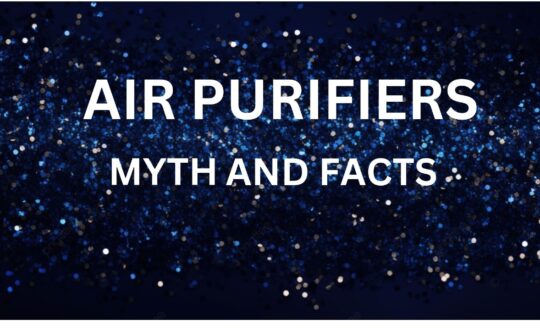 WhatsApp Image 2024-08-13 at 11.41.20_4eac4cc9