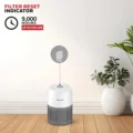 honeywell-v1-filter-reset-indicator