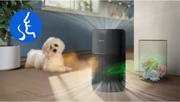 Philips AC2221 traps smells and gas pollutants