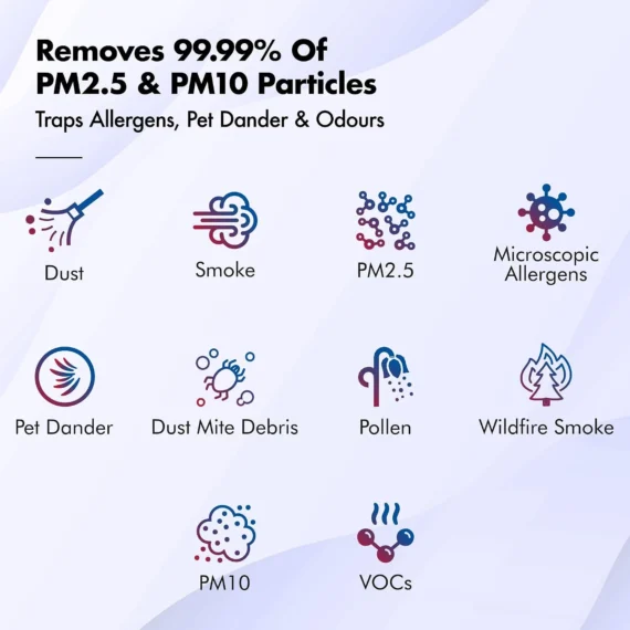wazoyo-air-purifier-pm25-pm10-particle-filtration