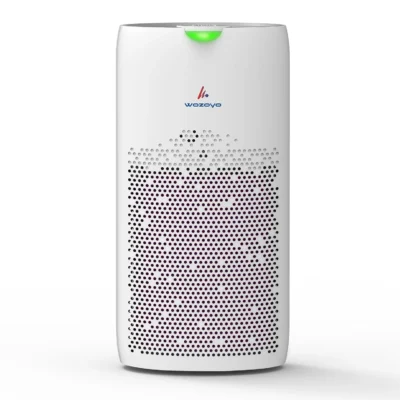 wozoyo pure air pa5 price
